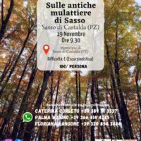sasso
