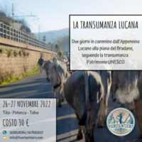 transumanza lucana